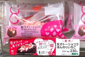 Uchi Café 生ガトーショコラ ほんのりいちご